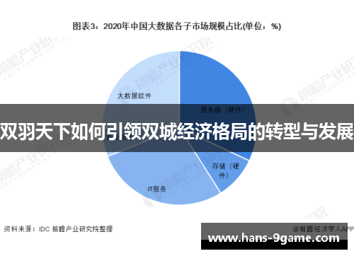 双羽天下如何引领双城经济格局的转型与发展