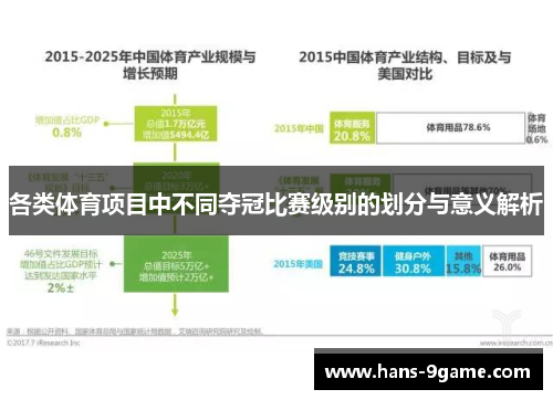 各类体育项目中不同夺冠比赛级别的划分与意义解析