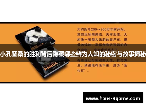 小孔塞桑的胜利背后隐藏哪些鲜为人知的秘密与故事揭秘