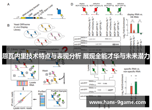 恩瓦内里技术特点与表现分析 展现全能才华与未来潜力