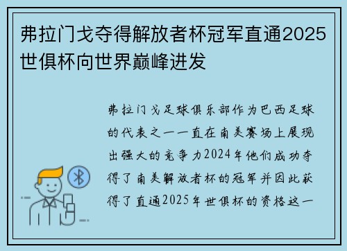 弗拉门戈夺得解放者杯冠军直通2025世俱杯向世界巅峰进发