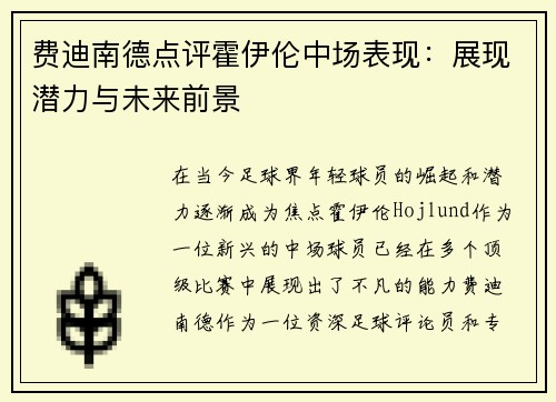 费迪南德点评霍伊伦中场表现：展现潜力与未来前景