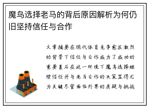 魔鸟选择老马的背后原因解析为何仍旧坚持信任与合作 魔鸟选择老马的背后原因解析为何仍旧坚持信任与合作
