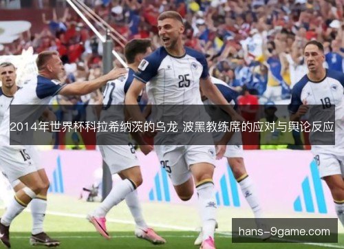 2014年世界杯科拉希纳茨的乌龙 波黑教练席的应对与舆论反应